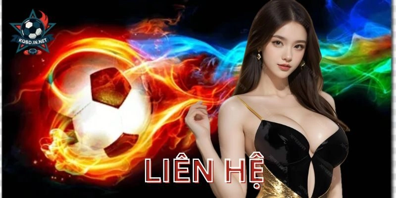 Kênh liên hệ chính và cách sử dụng